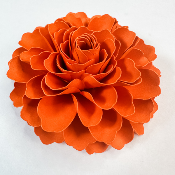 Gianna Paper Flowers