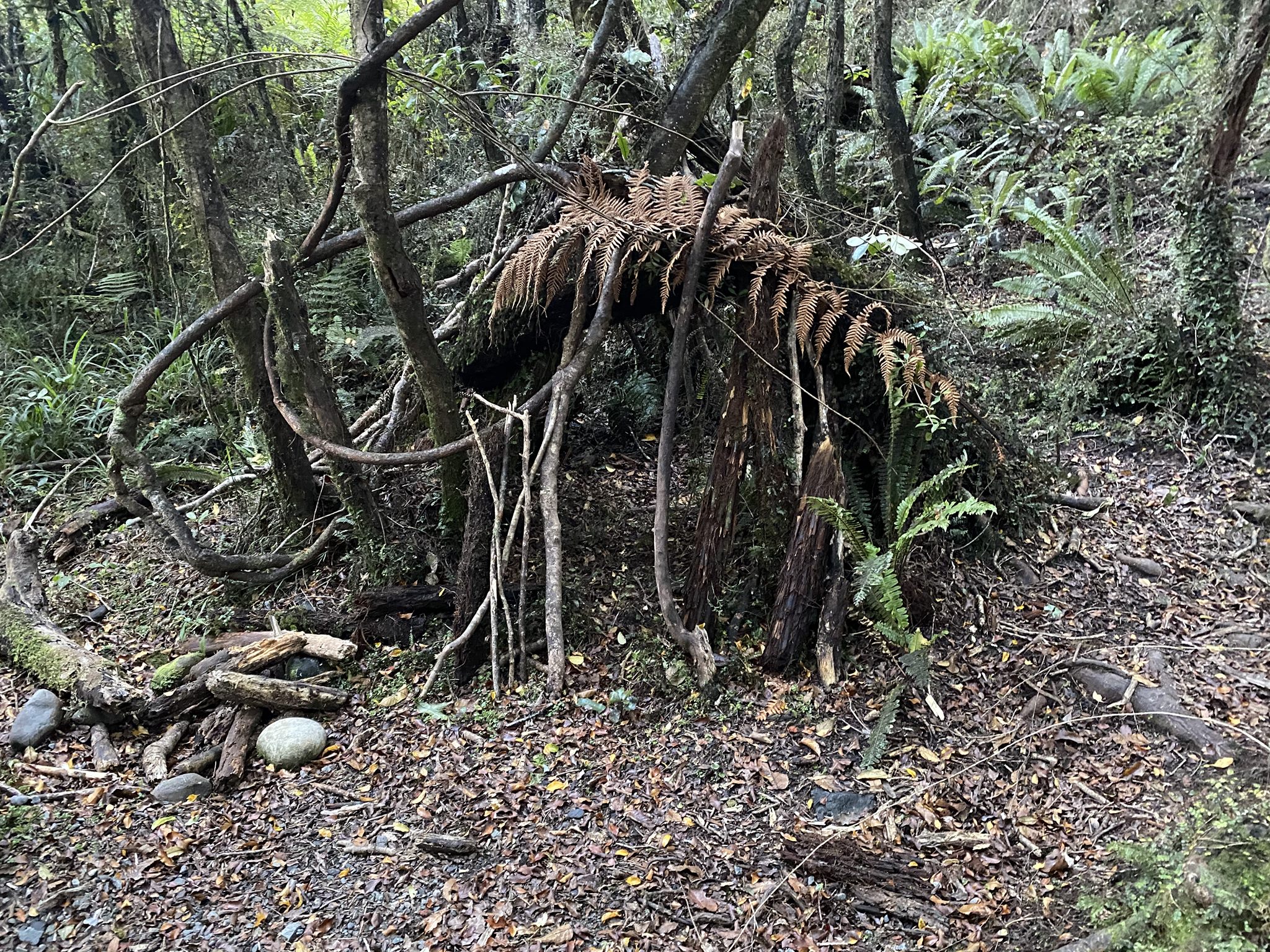 hut built by school children