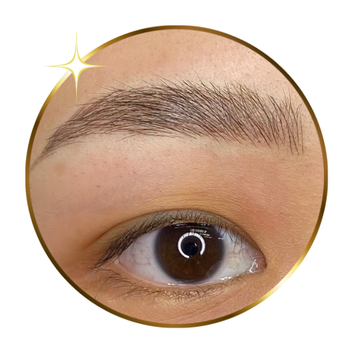 Eyeliner Tattoo Vancouver  100 Comfy  Safe  Beauty Tattooist  Natural  Vancouver Microblading Eyebrows  Eyeliner Tattoo Artist