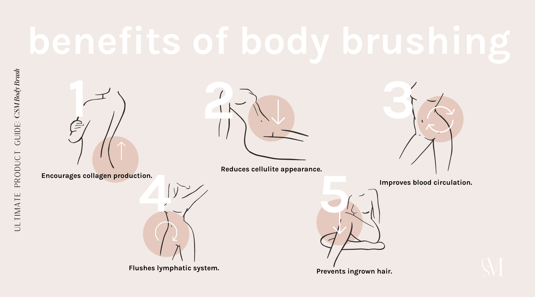 The wonderful benefits of body brushing. 