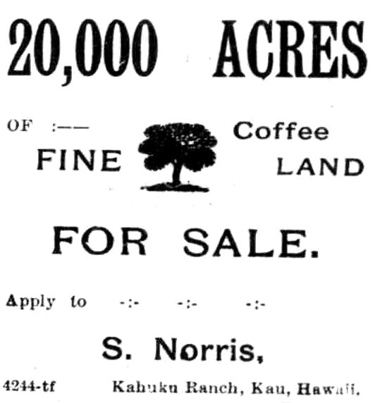 Hawaiian coffee land for sale last century