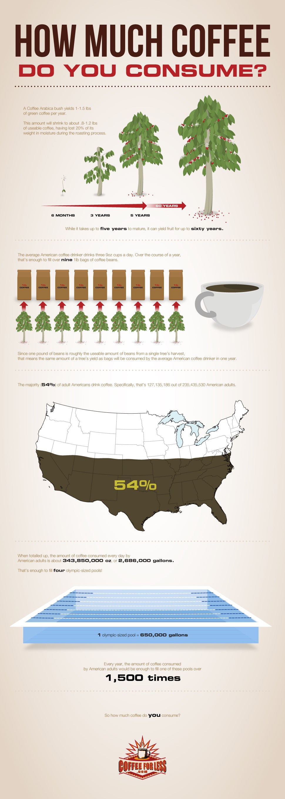 See how much coffee the average American consumes on a daily and annual basis.