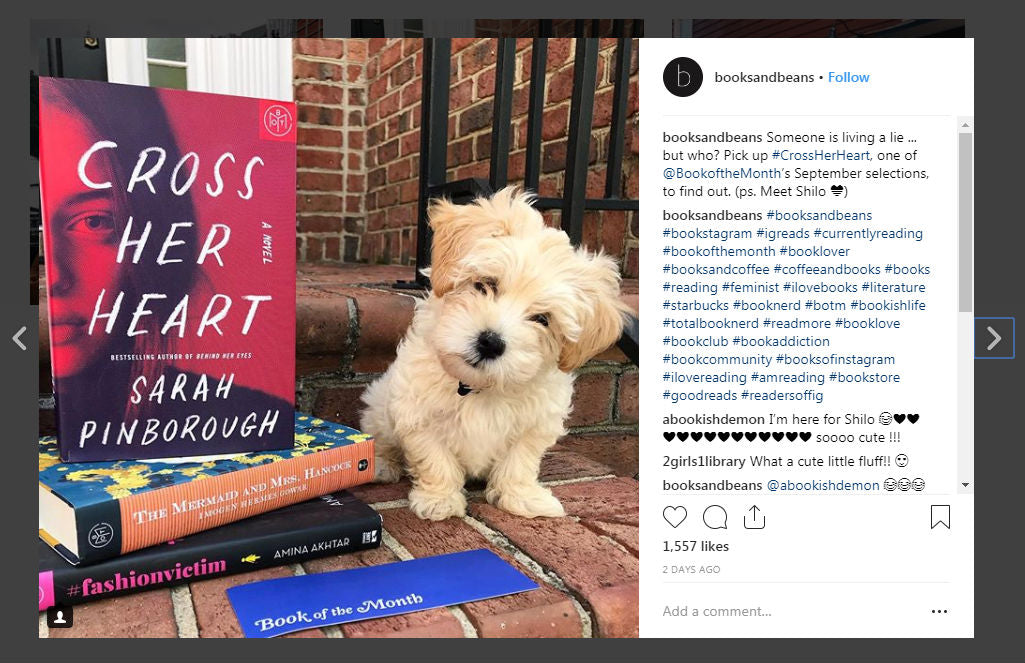 Books and Beans Instagram