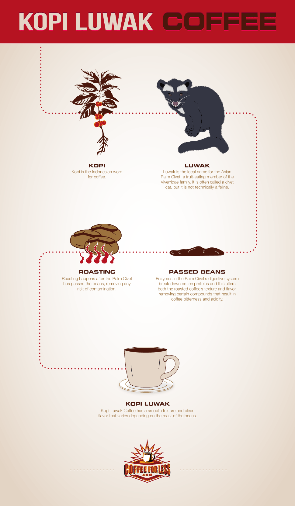 Kopi Luwak is a one-of-a-kind coffee that's highly sought after. Learn the secrets of this renowned beverage through CoffeeForLess infographics.