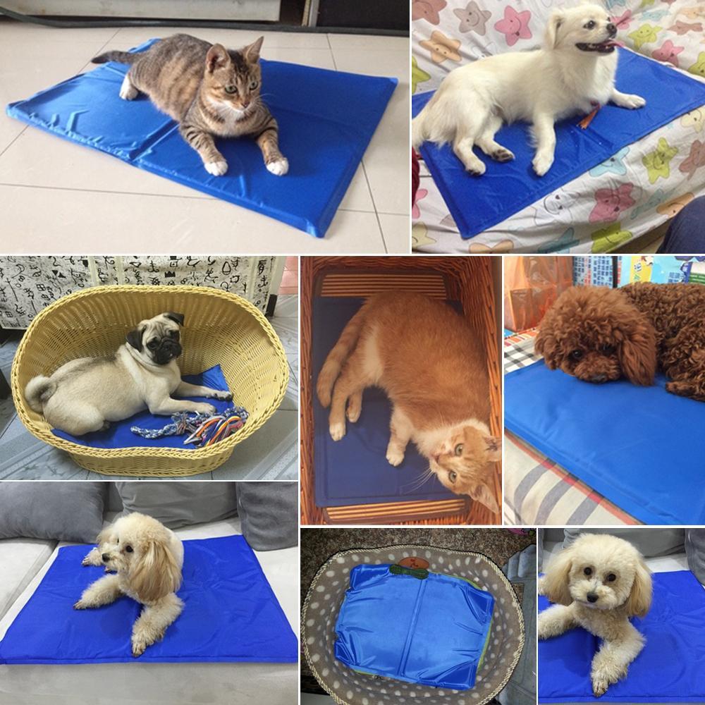 Tapis Rafraichissant Pour Chiens Et Chats Ventesflashfrance