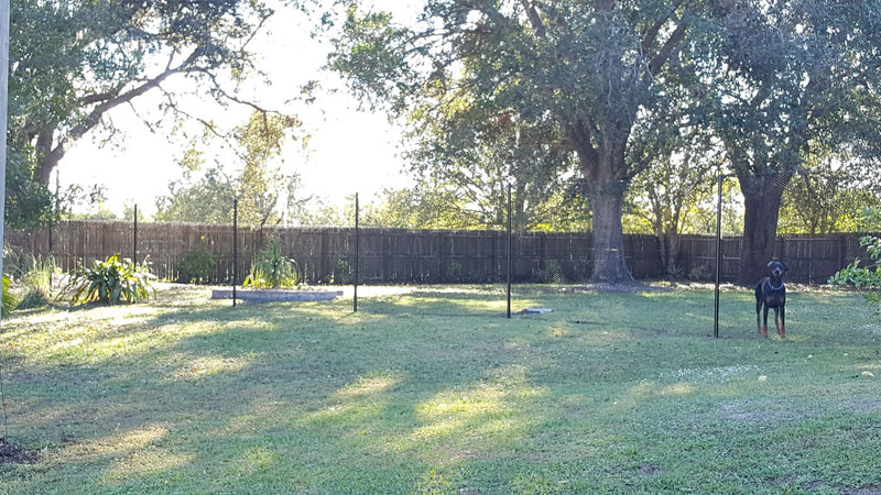 cheap and easy dog fence