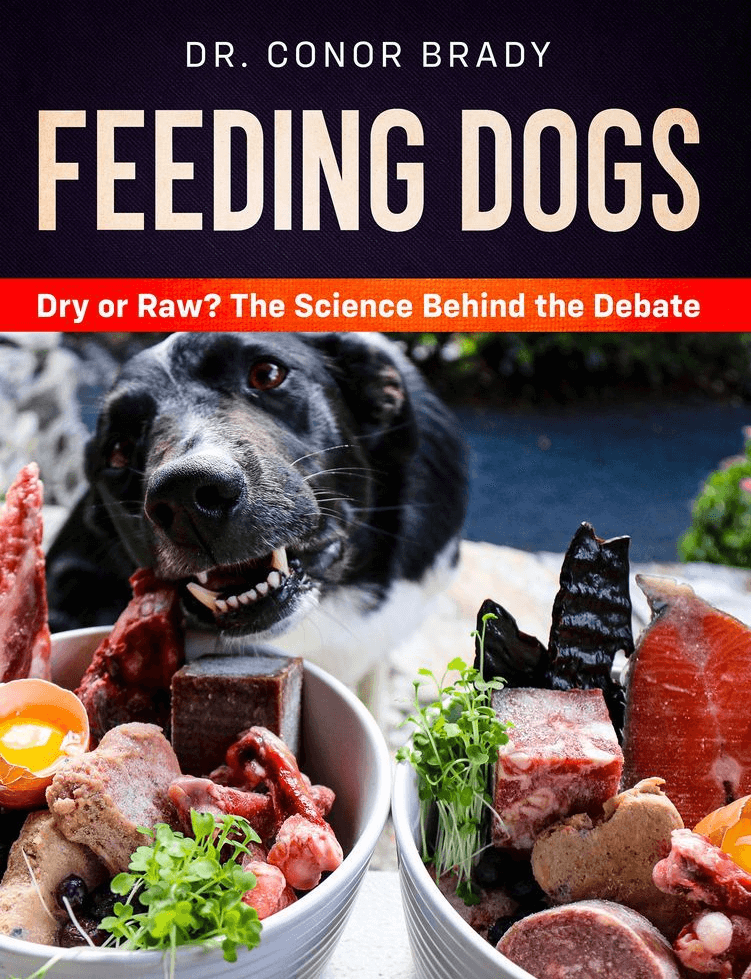 is raw dog food better than cooked