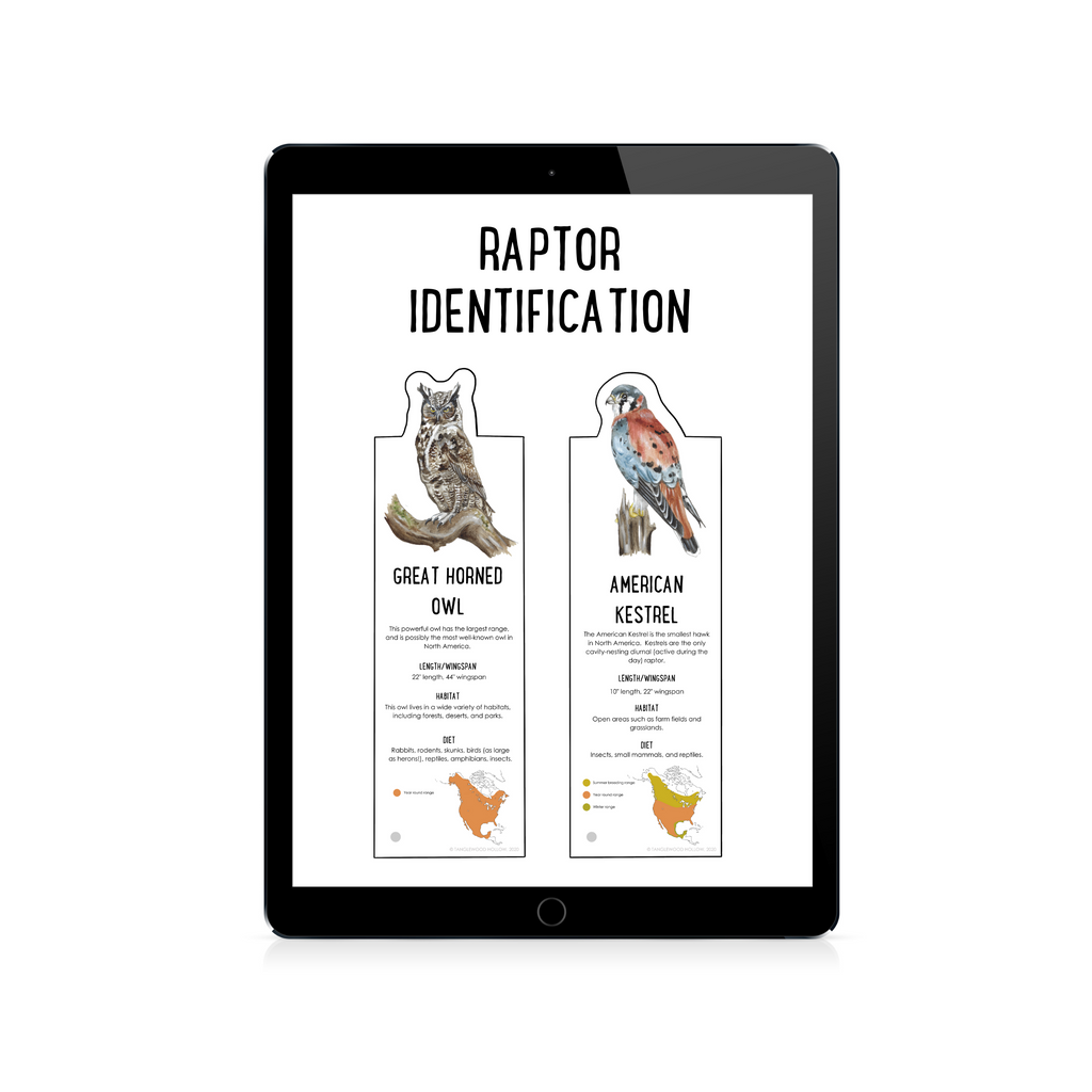 raptor identification