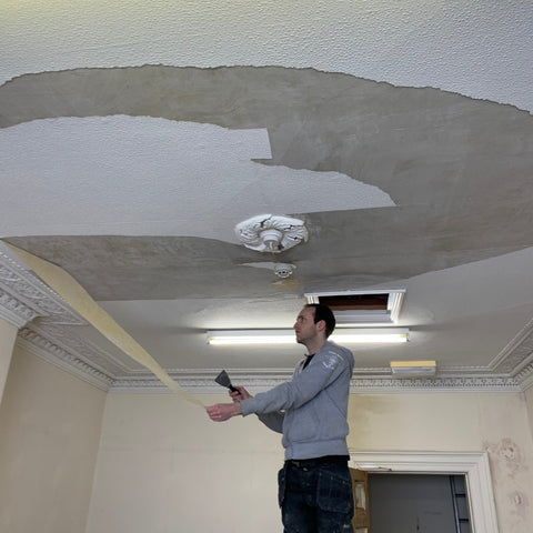 Josh steaming off the textured ceiling wallpaper.