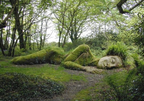 The Lost Gardens of Heligan, Mevagissey, Cornwall