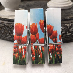 Tulpen magneten knijper set | Knijpertjes