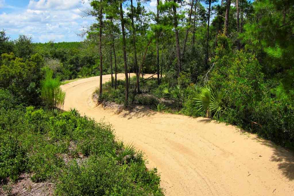 ocala national forest atv