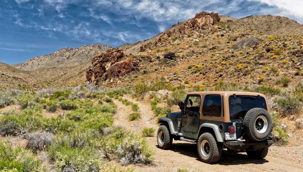 mojave national preserve jeep trail
