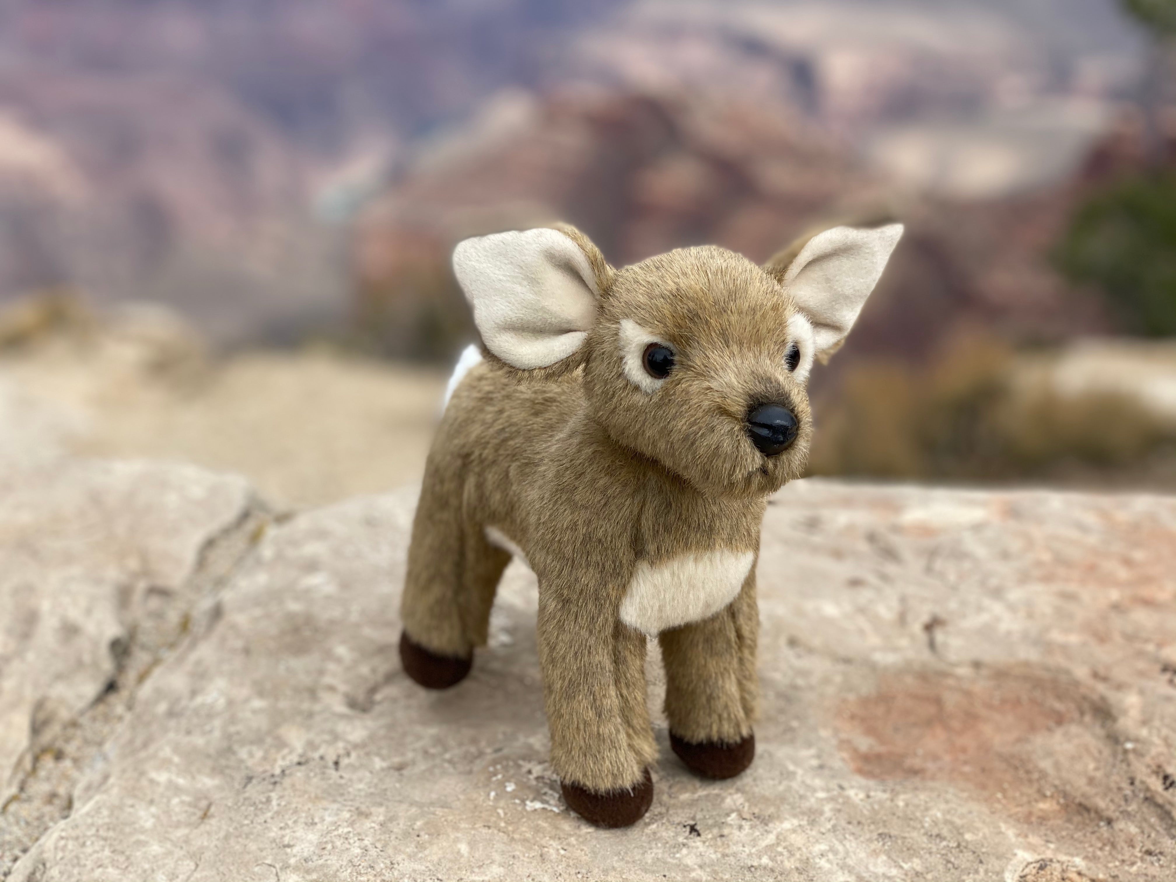 Plush 9 Chipmunk – Grand Canyon Conservancy Store