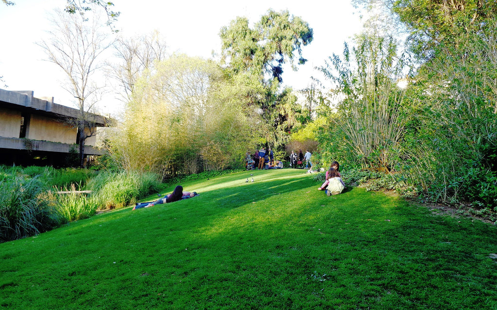 Jardim Gulbenkian_Lisboa