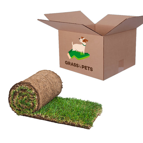 grass4pets-faqs-subscrição-animais-relva-natural