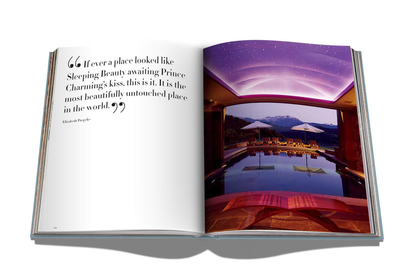 
                  
                    Aspen Style Coffee Table Book by Assouline
                  
                