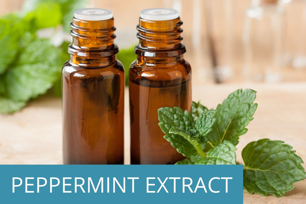 two bottles of peppermint extract with fresh peppermint on the side - peppermint extract is a key ingredient for optimal hair and skin health