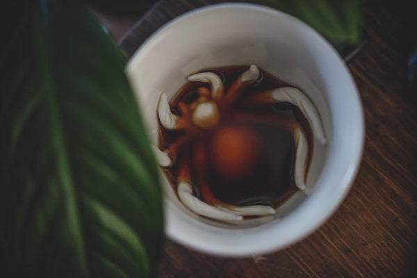 Creature Cups 12 Oz SKULL Cup Mug, Figural Surprise Skull Inside, Black  With White Inside, 3.5 