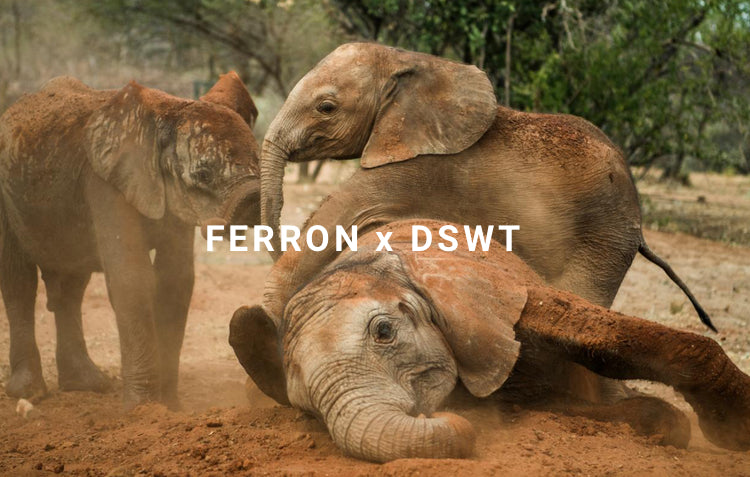 FERRON support Sheldrick Wildlife Trust and donates £10 from every bad sold