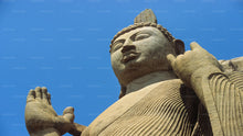 Load image into Gallery viewer, Anuradhapura Buddhist Icons Tour from Habarana
