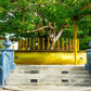 Keerimalai Holy Pond and Jambukola Port from Jaffna