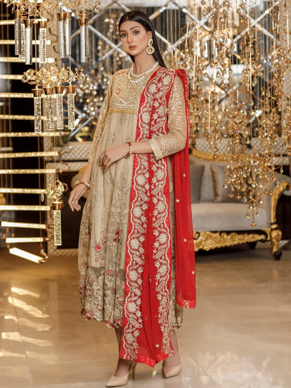 Pakistani Salwar Kameez