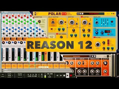 reason 12