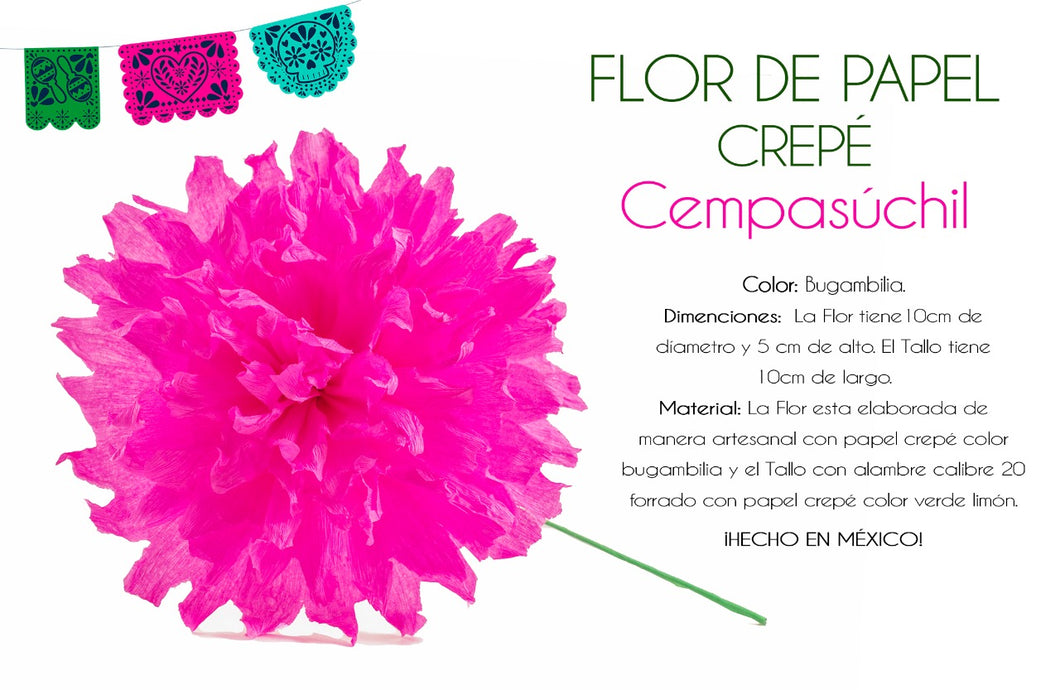 Set of Fuchsia Cempasuchil - Flor de Dia de Muertos – Guelaguetza Designs