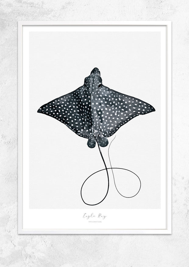 Poster Art Tagged Eagle Ray Paper Pop