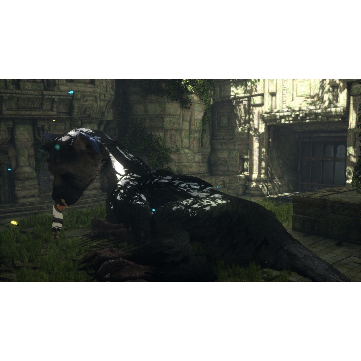 The last guardian ps4 обзор