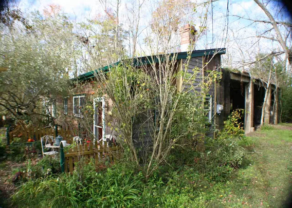 An unusual building is partially obscured by greenery. This is the Pickle House