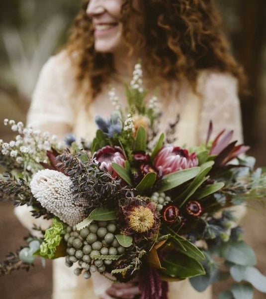 native australian flowers 