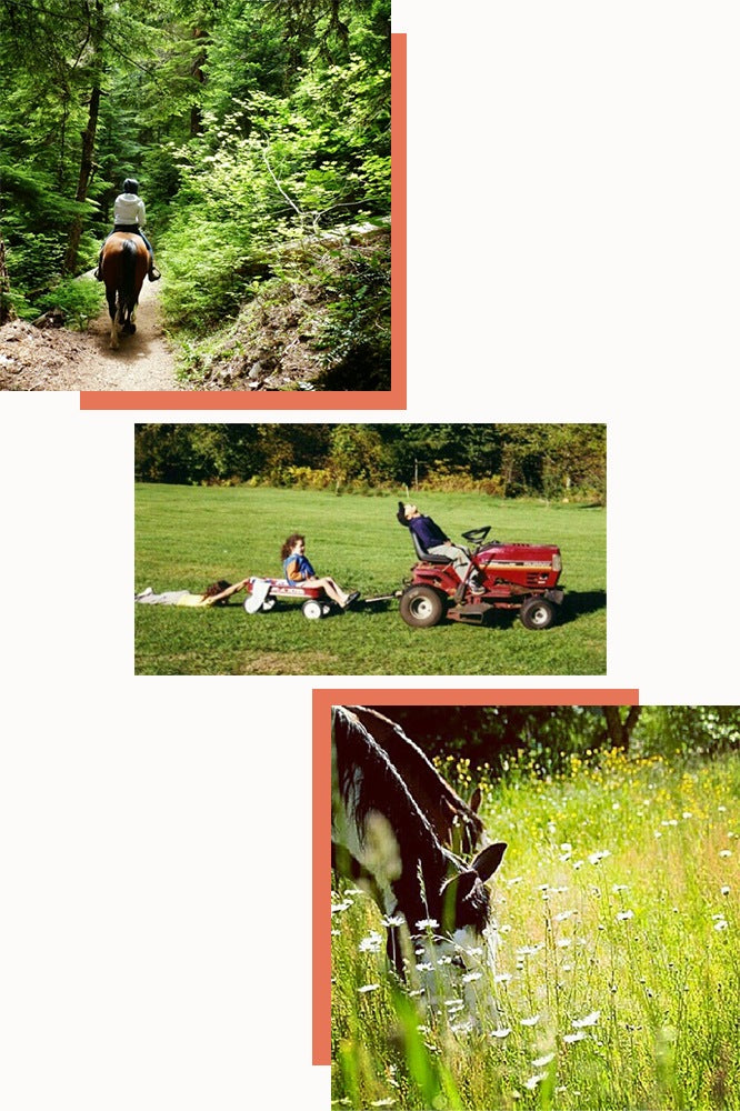 A few photos from Nancy's IG. Mostly of her with greenery.