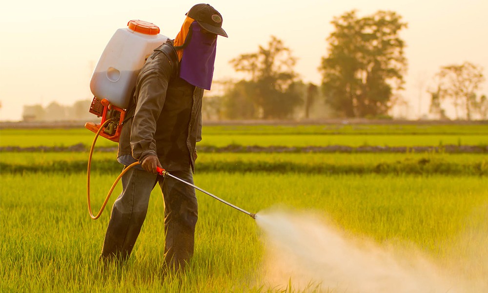 Pesticide Pollution