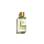 Bohemian Lime 3.4oz Perfume Concentrate