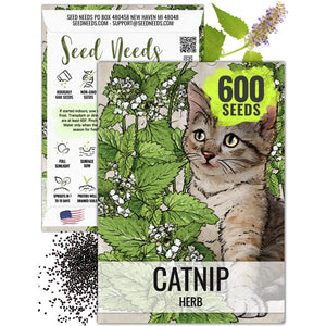 Catnip Herb Seeds For Planting (Nepeta cataria) - Seed Needs LLC - Cat Herb Garden