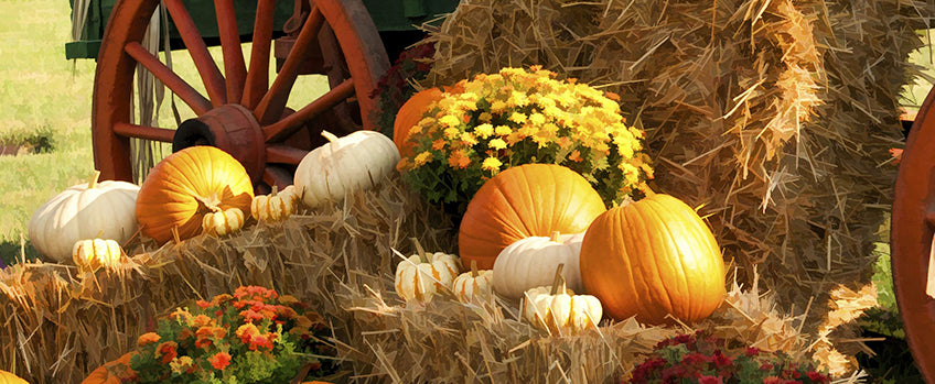 Decorating With Pumpkins