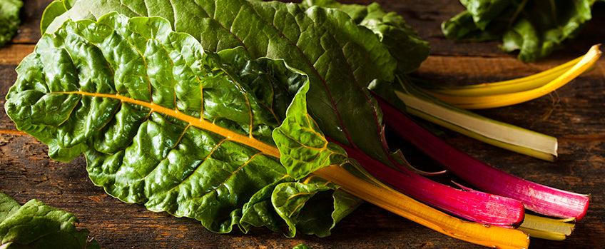 growing swiss chard