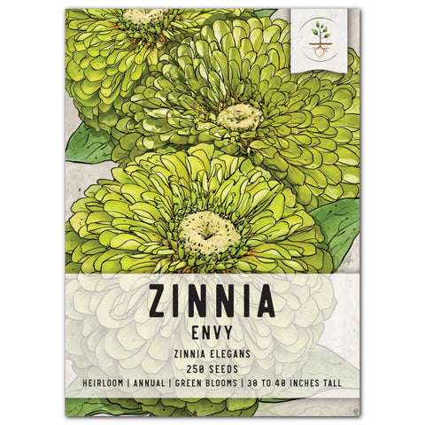 Lilliput Zinnia Mixture (Zinnia elegans) – Seed Needs LLC