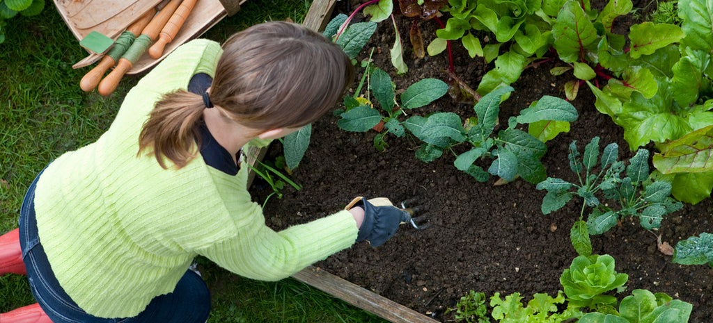 woman at raised bed working with the best vegetables to grow in small spaces