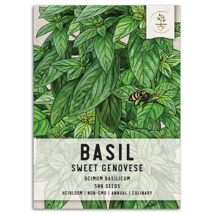 Sweet Basil Herb Seeds (Ocimum basilicum)