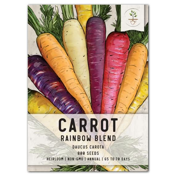 Rainbow Carrot Seeds For Planting (Daucus carota)