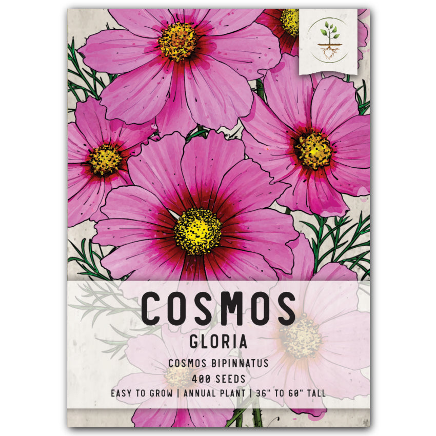 Gloria Cosmos Seeds For Planting (Cosmos bipinnatus) Seed Needs – Seed  Needs LLC