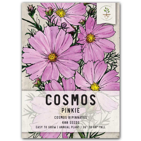 Pinkie Cosmos Seeds For Planting (Cosmos bipinnatus) – Seed Needs LLC