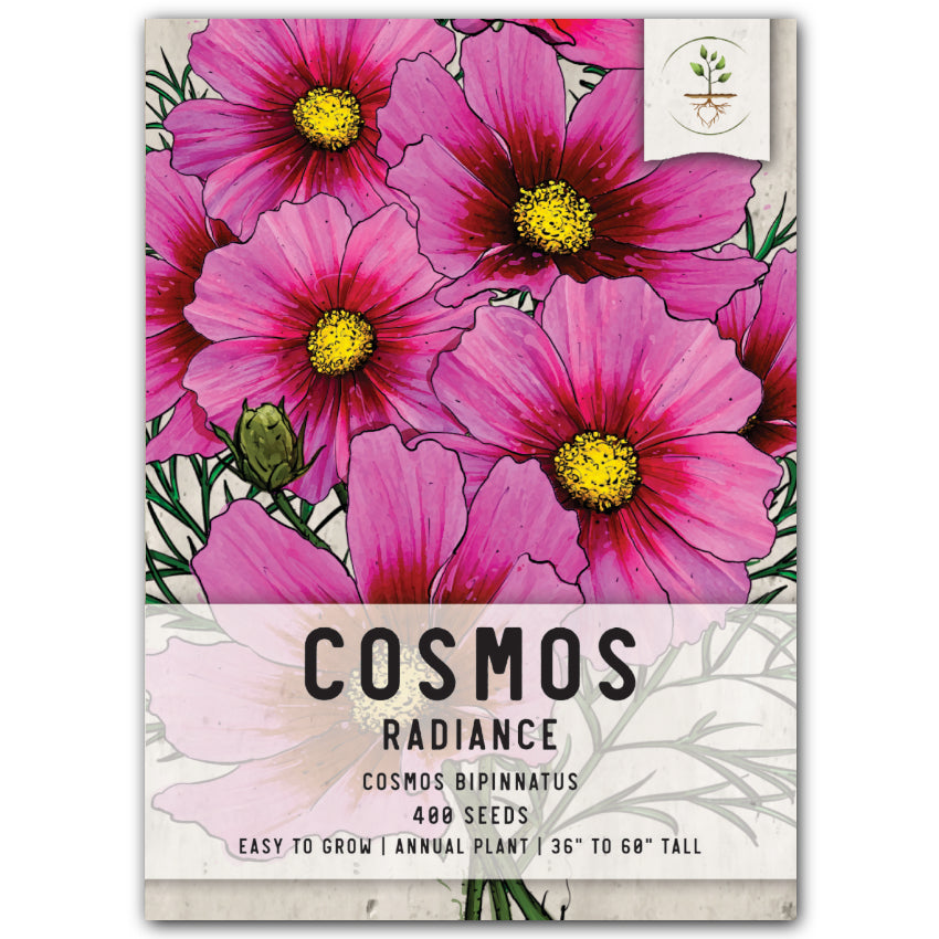 Radiance Cosmos Seeds For Planting (Cosmos bipinnatus) Seed Needs – Seed  Needs LLC
