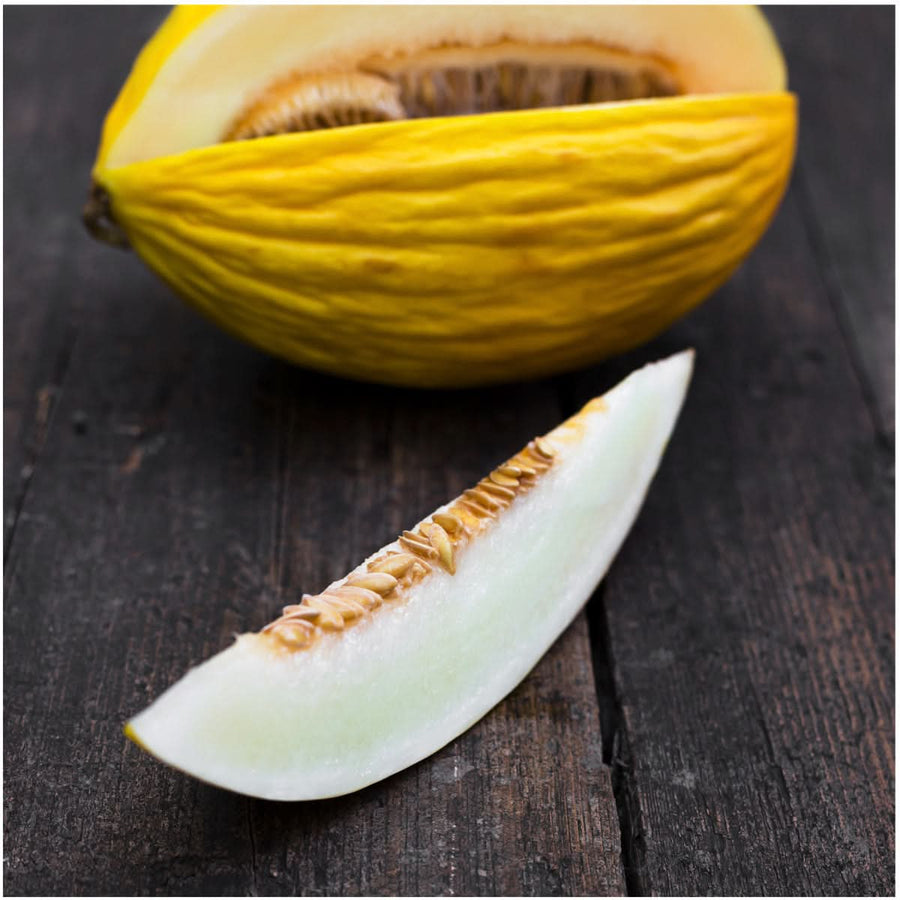 canary honeydew melon