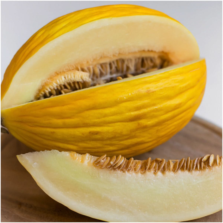 canary melon