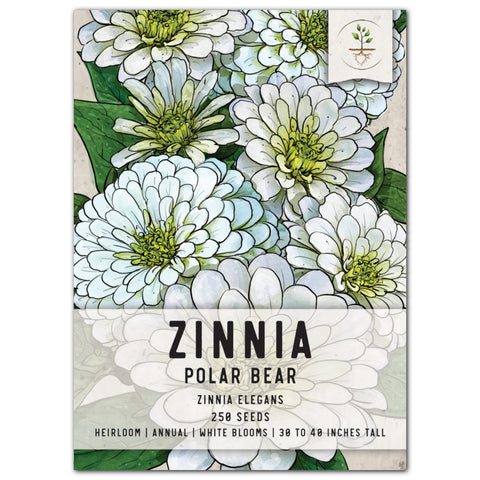 Zinnia Cut Flower Seed Packet Collection - Seed Needs – Seed Needs LLC