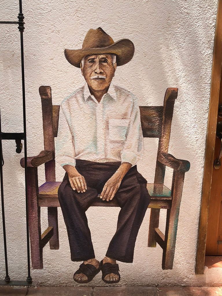 Artelexia's Favorite Street Art Murals to See In Oaxaca